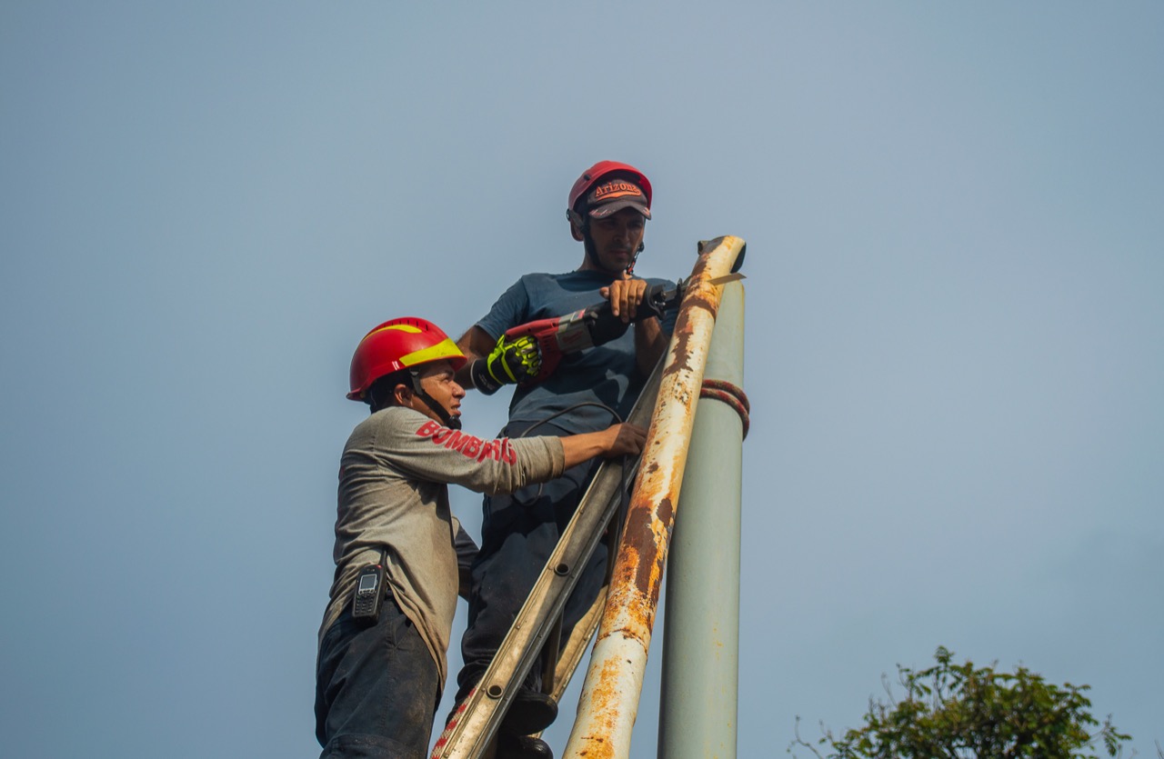 Trabajo interinstitucional permitió retirar árbol caído de forma breve por el Libramiento carretero de Tepic