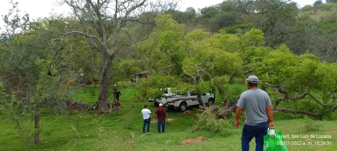 Después de 2 años, “peinan” cementerio clandestino