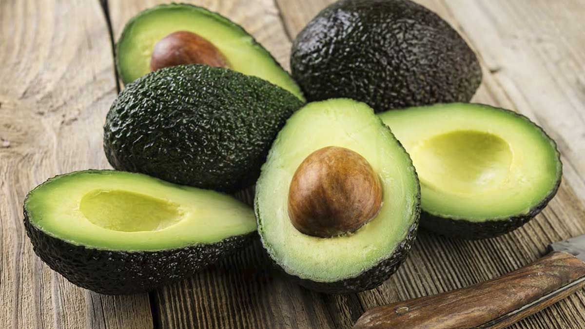 El aguacate de Nayarit se vende a Estados Unidos