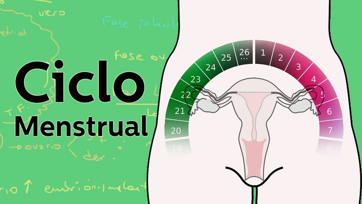 Cuenta IMSS con más de 200 Hospitales de Segundo Nivel para atender los trastornos menstruales y sus complicaciones