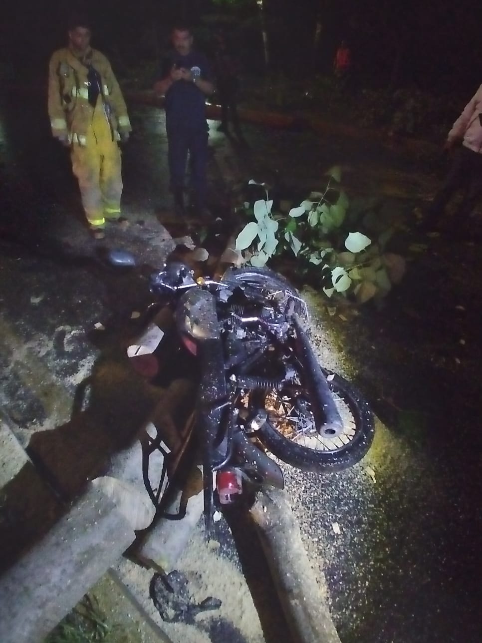 Joven lesionado por árbol