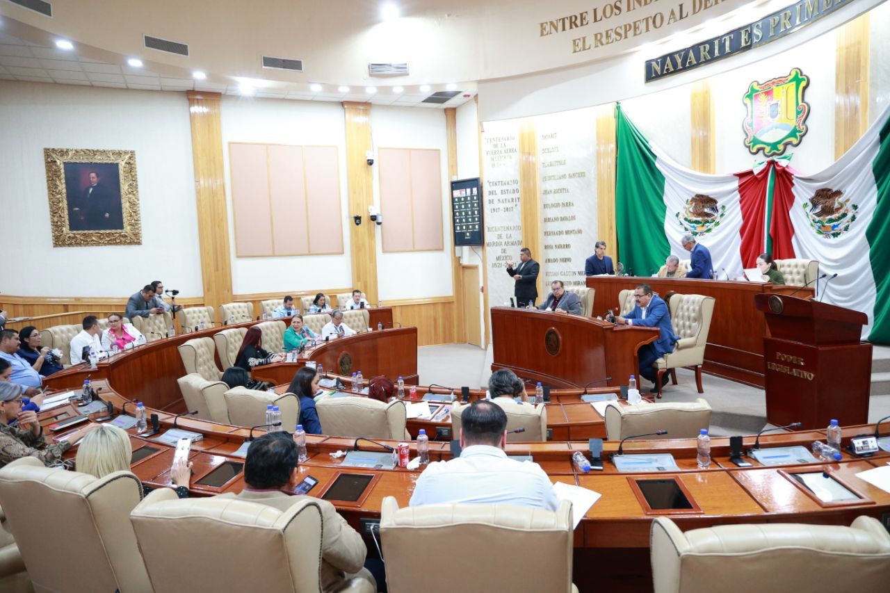 Elegirá Congreso presidenta o presidente de la Comisión de Defensa de Derechos Humanos