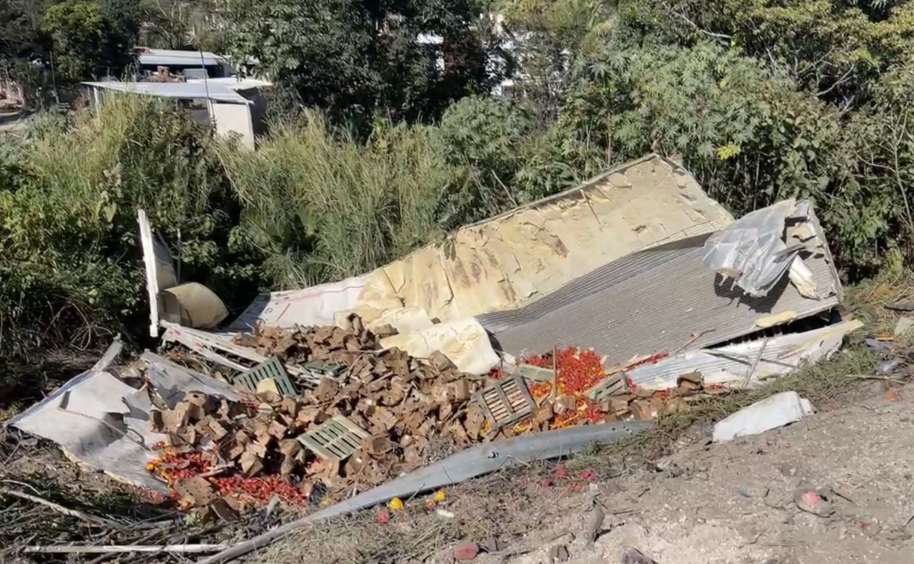 Tráiler choca y arrastra a un coche a un barranco, dejando un saldo de tres muertos, esto en la carretera Tepic – Mazatlán