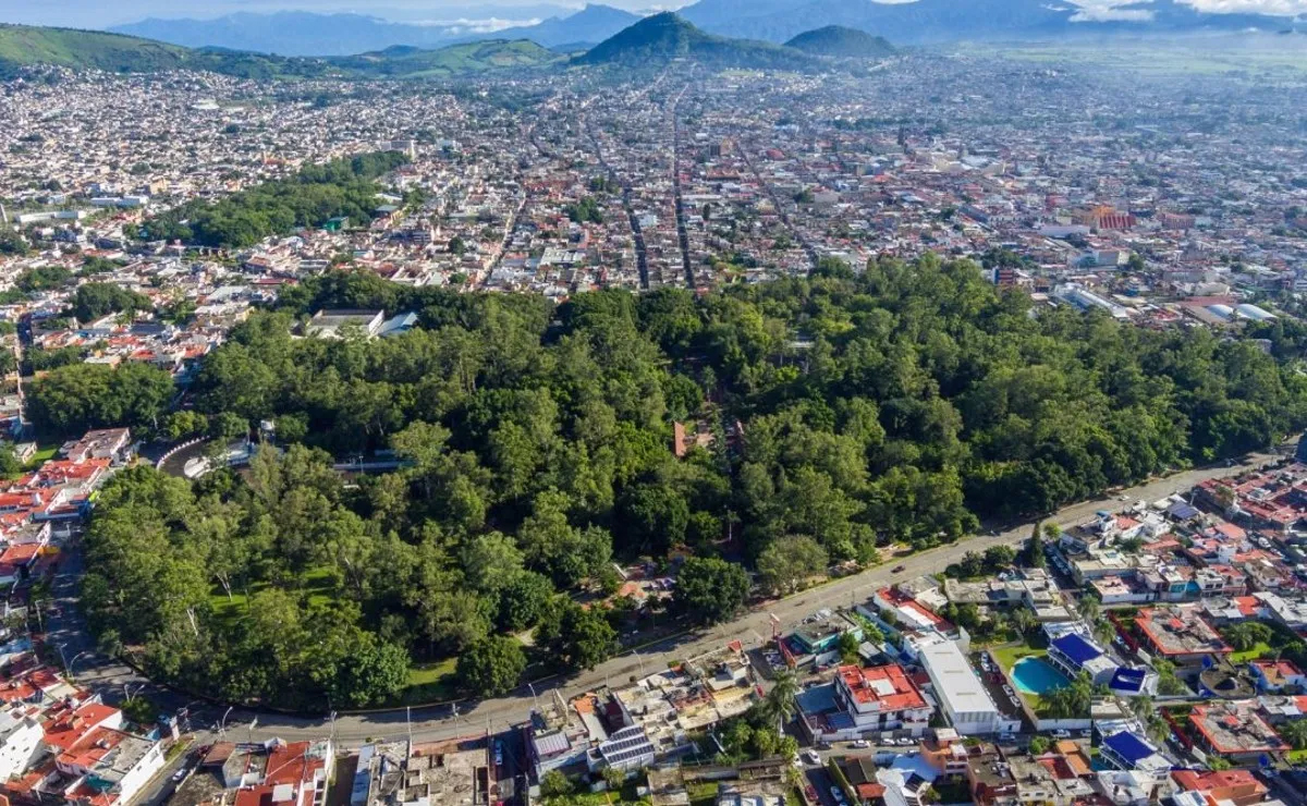 Importancia de tener espacios verdes