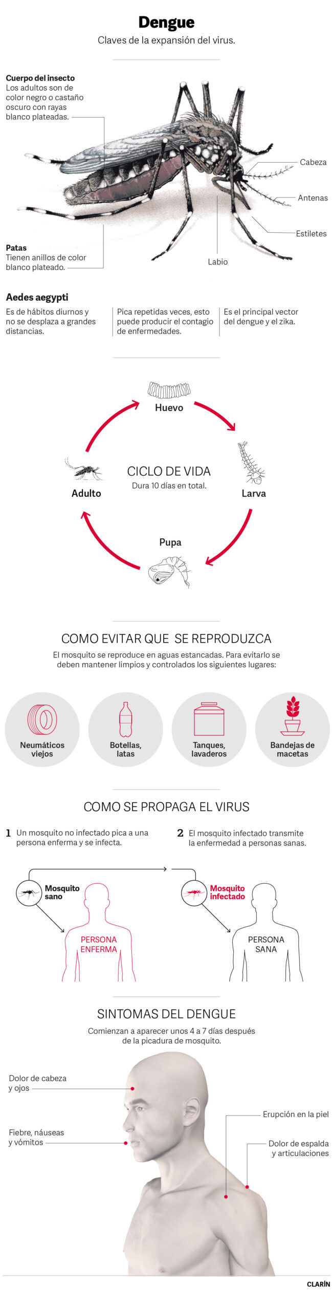 Las 7 medidas más efectivas para vivir sin mosquitos en el hogar