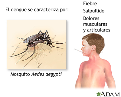 En 2024, 760% más casos de dengue