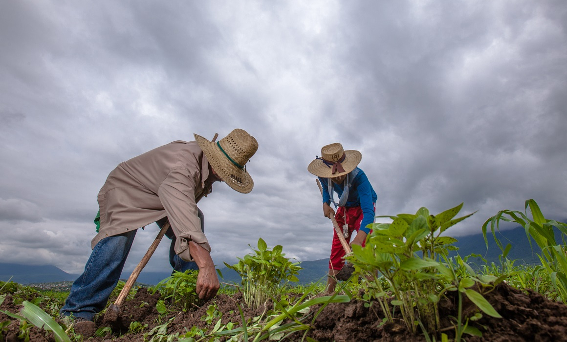 México incentivará a sectores para que produzcan más